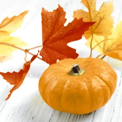 Cocktailservietten>PAPER + DESIGN Tissue-Serviette 24 x 24 cm Pumpkin Leaf 3-lagig