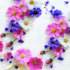 Servietten Im Lunchformat>PAPER + DESIGN Tissue-Serviette 33 x 33 cm Summer Florals 3-lagig