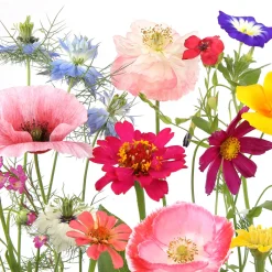 Servietten Im Lunchformat>PAPER + DESIGN Tissue-Serviette 33 x 33 cm Wildflower garden 3-lagig