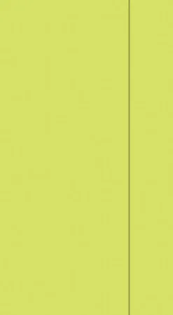 Servietten Für Serviettenspender>DUNI Tissue-Serviette für Spender 33 x 32 cm Kiwi 1-lagig