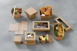 Boxen>BIOPAK Viking Cube Mini 250 ml Braun ungeteilt